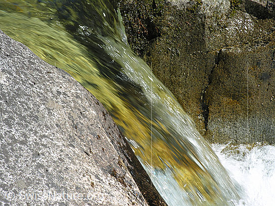 Foto: Klares Wasser in Bergbach (Binna). Felsblöcke. Nahaufnahme.