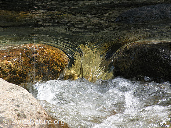 Foto: Klares, sprudelndes Wasser in Bergbach (Binna). Felsblöcke.