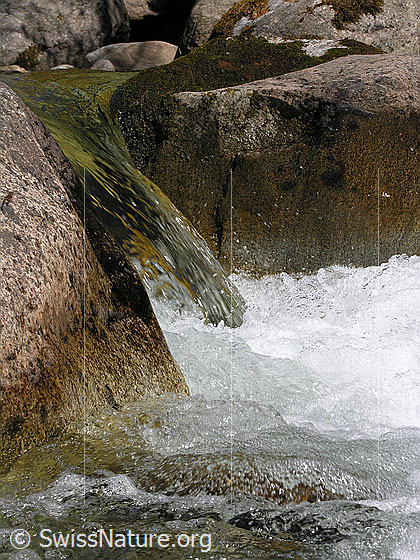 Foto: Klares, sprudelndes Wasser in Bergbach (Binna). Felsblöcke.