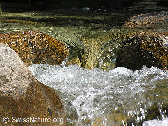 Foto: Klares, sprudelndes Wasser in Bergbach (Binna). Felsblöcke.