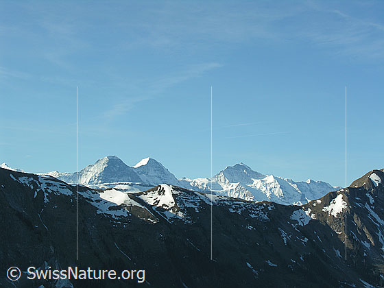 Foto: Im Aufstieg zum Hohgant: Blick über den Brienzergrat zu Eiger, Mönch und Jungfrau.