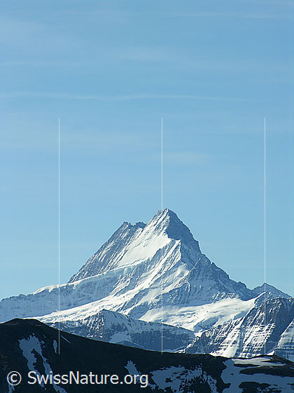 Foto: Im Aufstieg zum Hohgant: Blick zu Lauteraarhorn und Schreckhorn.