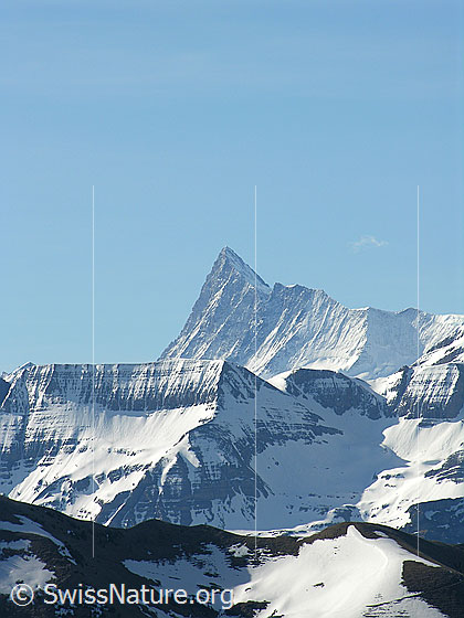 Foto: Im Aufstieg zum Hohgant: Blick zum Finsteraarhorn.