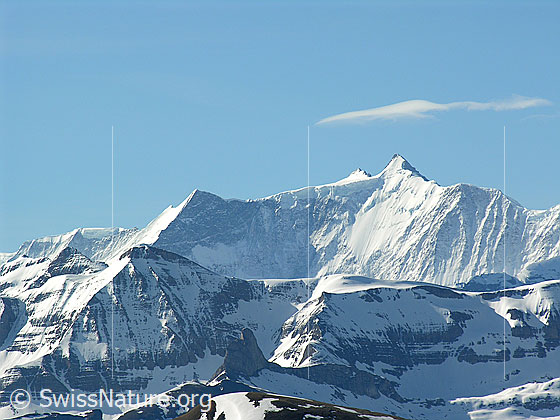 Foto: Im Aufstieg zum Hohgant: Blick zu Ochs, Hinter Fiescherhorn und Gross Fiescherhorn.