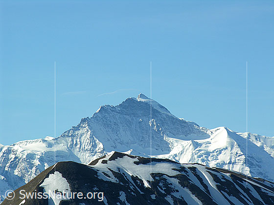 Foto: Im Aufstieg zum Hohgant: Blick zur Jungfrau. Im Vordergrund das Augstmatthorn.
