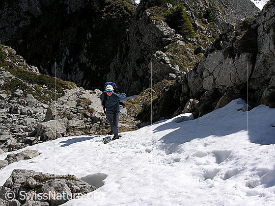 Foto: Im Aufstieg zum Hohgant: Alpinistin am Fuss eines Couloirs mit Schneefeld.