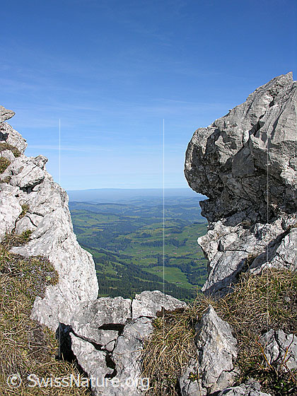 Foto: Im Aufstieg zum Hohgant: Blick durch Gratlücke über das Emmental und das Mittelland.