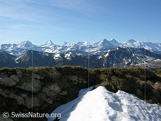 Foto: Im Aufstieg zum Hohgant: Blick zu den Berner Alpen. Wetterhorngruppe, Lauteraarhorn/Schreckhorn, Finsteraarhorn, Fiescherhörner, Eiger. Mönch und Jungfrau.