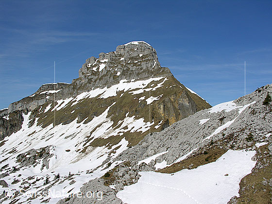 Foto: Im Aufstieg zum Hohgant: Blick zum Furggengütsch