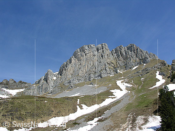 Foto: Im Gebiet der Hohganthütte: Blick Richtung Furggengütsch. Zu sehen sind die Felstürme und Felswände, welche vom Furggengütsch gegen Süden abfallen. Links sind die "Drei Bären" zu erkennen.
