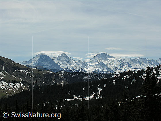 Foto: Gebiet Alp Ällgäuli: Blick zu Eiger, Mönch und Jugfrau