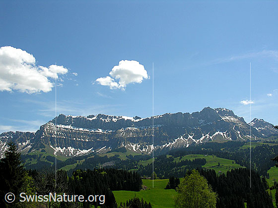 Foto: Blick zum Hohgantmassiv. 
Zu sehen sind: Furggengütsch Drei Bären, Steinigi Matte, Aff, Hohgant West und Trogenhorn.