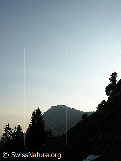 Foto: Im Aufstieg zu den Sieben Hengsten: Morgenstimmung über dem Hohgant West