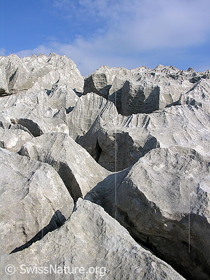 Foto: Karrenfeld an den Sieben Hengsten. Interessante Strukturen, Licht und Schatten