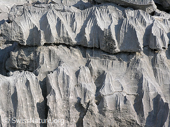 Foto: Karrenfeld an den Sieben Hengsten. Interessante Strukturen, Licht und Schatten