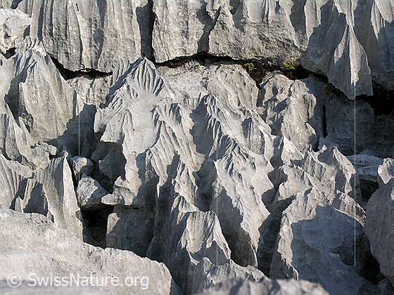 Foto: Karrenfeld an den Sieben Hengsten. Interessante Strukturen, Licht und Schatten