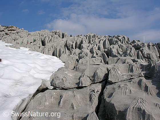 Foto: Karrenfeld an den Sieben Hengsten