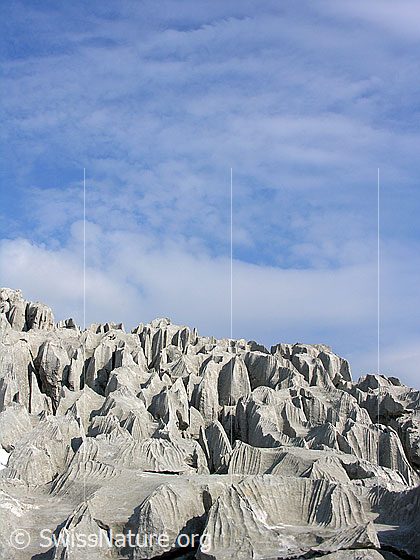 Foto: Karrenfeld an den Sieben Hengsten