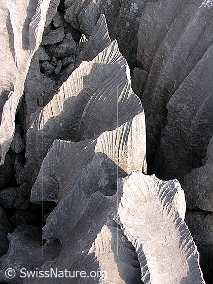 Foto: Karrenfeld an den Sieben Hengsten. Interessante Strukturen, Licht und Schatten