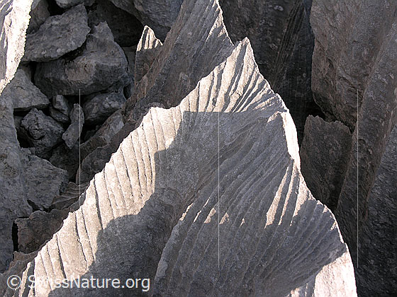Foto: Karrenfeld an den Sieben Hengsten. Interessante Strukturen, Licht und Schatten
