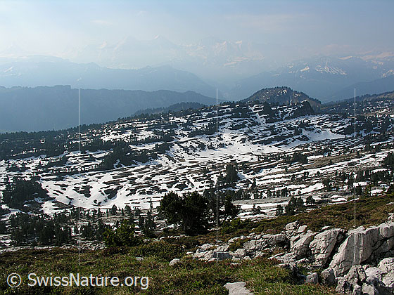 Foto: Blick von den Sieben Hengsten über die Karrenfelder auf das Seefeld. Im Dunst sind die Berner Alpen schwach zu sehen.