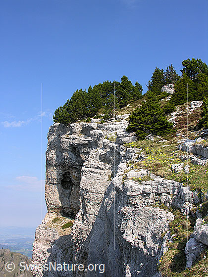 Foto: Felskopf an den Sieben Hengsten.