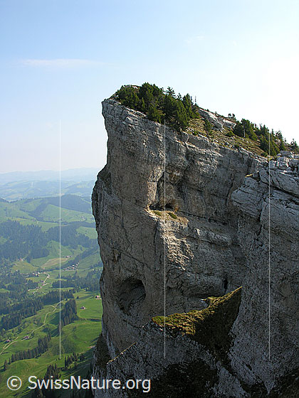 Foto: Felskopf an den Sieben Hengsten. Tiefblick ins Eriz.