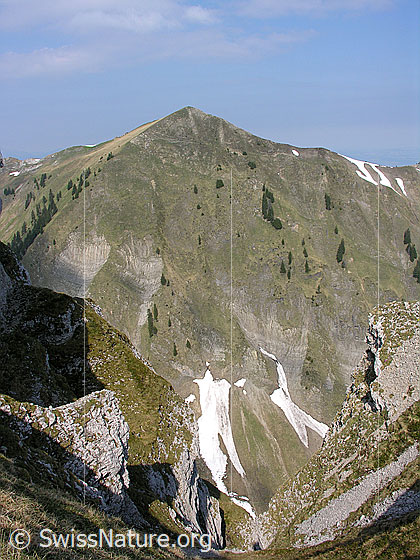 Foto: Blick von den Sieben Hengsten zum Burst.