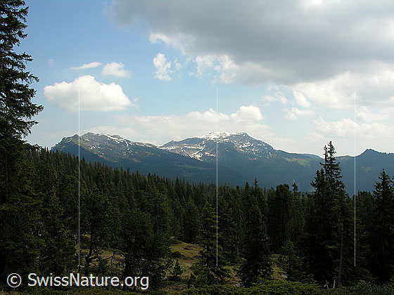 Foto: Im Seefeld. Blick zur Steinigi Matte.