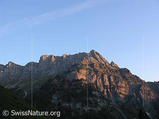 Foto: Seehore von SW im Morgenlicht