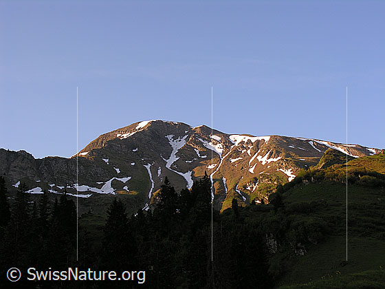 Foto: Rauflihon im Morgenlicht von NNW (Alp Grimmi)