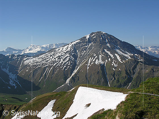 Foto: Blick vom Gipfel zu Steghorn, Wildstrubel und Albristhorn. Im linken Bildteil ist der Abschluss des Färmel zu sehen.