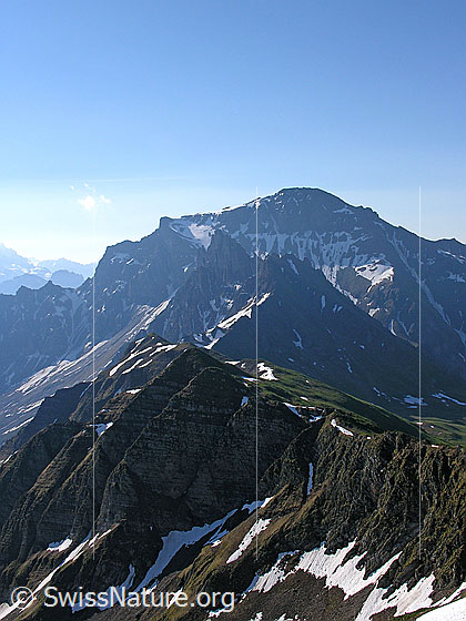 Foto: Blick vom Rauflihorn zu Türmlihorn und Gsür.