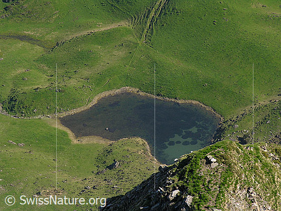 Foto: Tiefblick vom Gipfel auf den Grimmisee.
