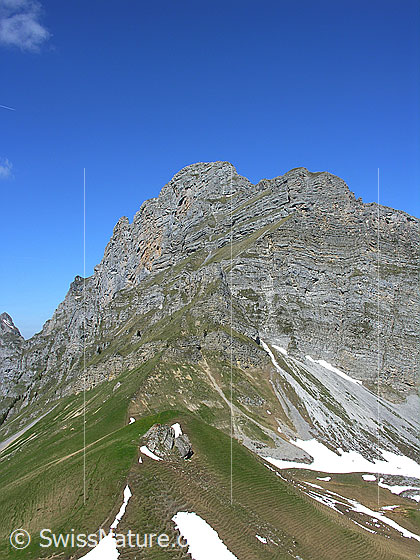 Foto: Oberhalb Grimmi Furggi: Blick zum Rothorn.