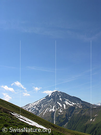 Foto: Oberhalb Grimmi Furggi: Blick zum Albristhorn