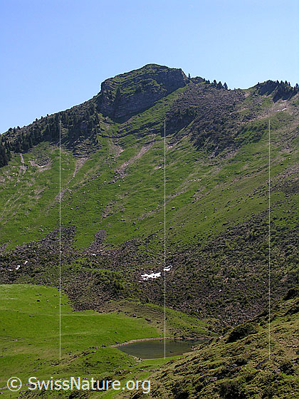 Foto: Arblihore, davor der Grimmisee.