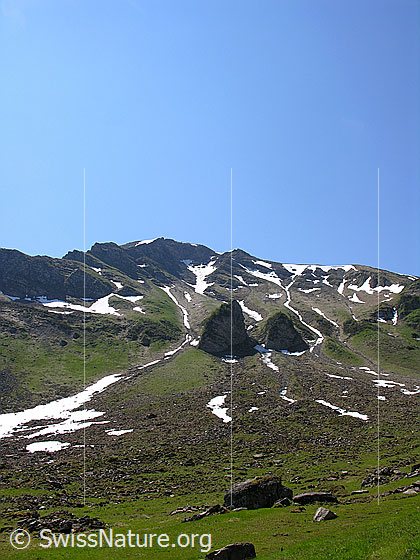 Foto: Blick vom Grimmisee zum Rauflihorn.