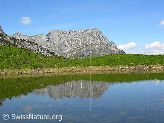 Foto: Grimmisee mit Seehore. Spiegelung.