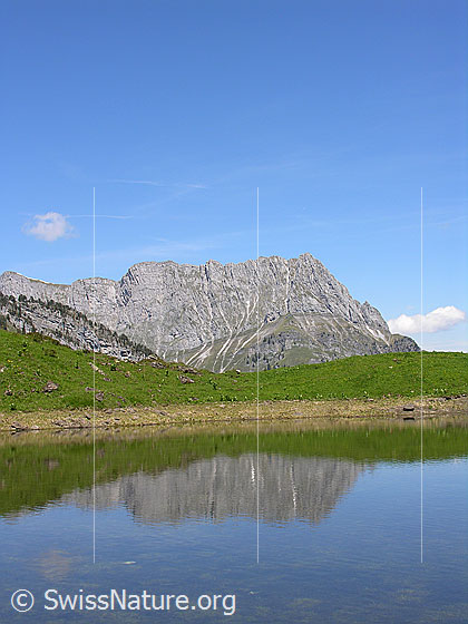 Foto: Grimmisee mit Seehore. Spiegelung.