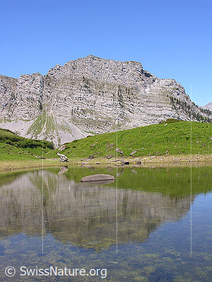 Foto: Grimmisee mit Chalberhöri. Spiegelung.