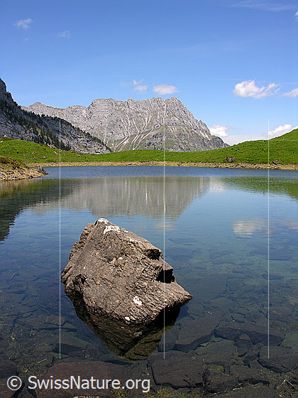 Foto: Grimmisee mit Seehore. Spiegelung. Im Vordergrund ein Felsblock.