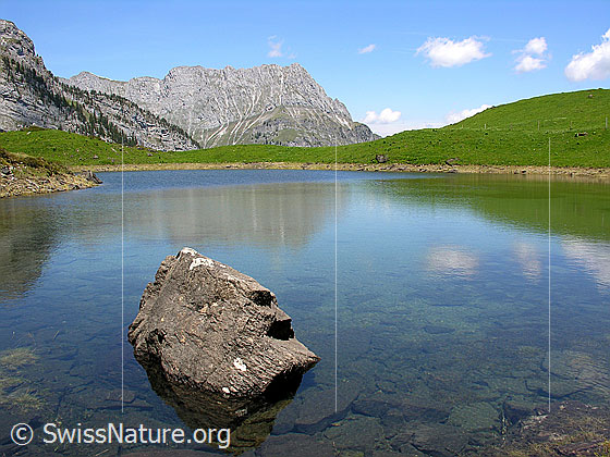 Foto: Grimmisee mit Seehore. Spiegelung. Im Vordergrund ein Felsblock.