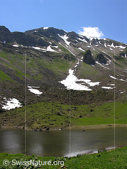 Foto: Grimmisee und Rauflihorn.