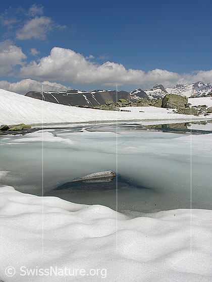 Foto: Blick über Bergsee zum Holzjihorn. Der Bergsee ist z.T mit Eis bedeckt. Am Himmel einige Schönwetterwolken.