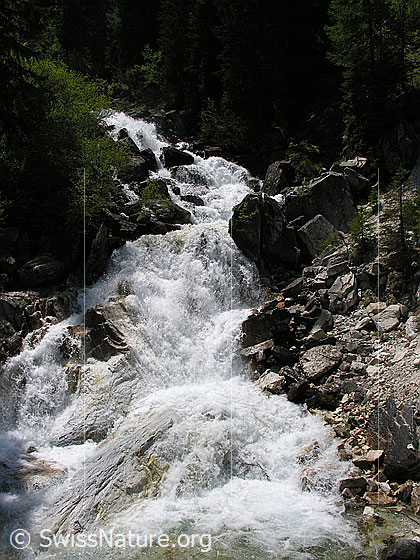 Foto: Schäumender Mässerbach während der Schneeschmelze. Das Wasser fliesst über Dolomitgestein.
