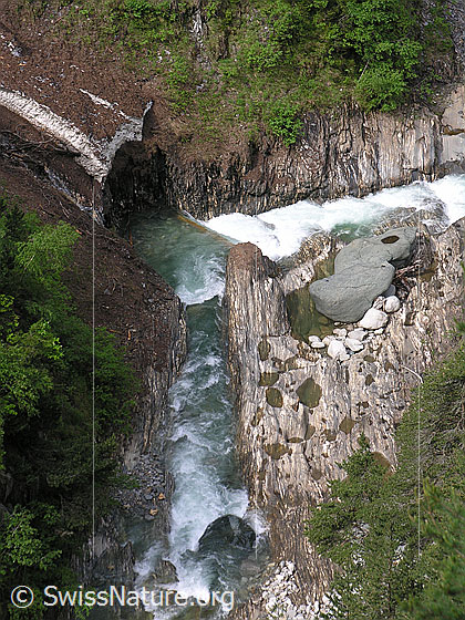 Foto: Blick in die Twingischlucht mit sprudelnder Binna und abgeschliffenen Steinen und Felsen. Schuttbedeckte Reste eines Lawinenkegels sind neben zartem Grün der Büsche und Lärchen zu erkennen.