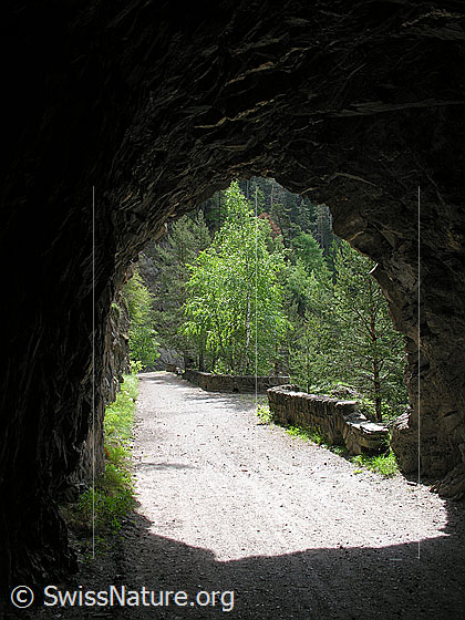 Foto: Blick aus einem kurzen, in den Fels gehauenen Tunnel auf dem Wanderweg entlang der Twingischlucht. Pflanzen und eine niedrige Natursteinmauer trennen den Weg vom Abgrund.