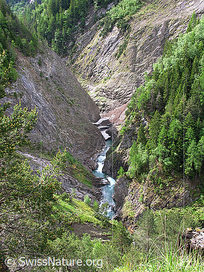 Foto: Blick in die tief eingeschnittene Twingischlucht. Darin verläuft die Binna. Die steilen Hänge sind zum Teil bewaldet.