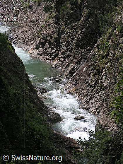 Foto: Blick in die Twingischlucht mit Binna und Licht und Schatten.